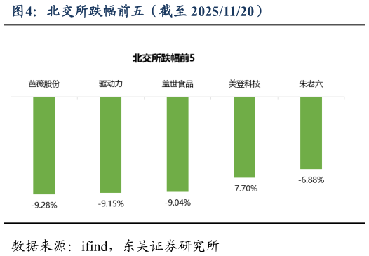 如何解释北交所跌幅前五（截至 20251120）