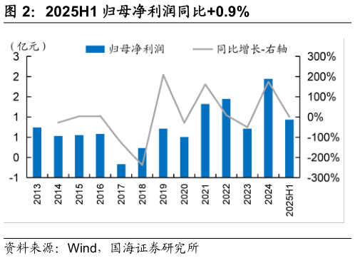 如何了解2025H1 归母净利润同比0.9%