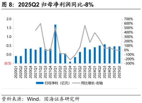 我想了解一下2025Q2 归母净利润同比-8%