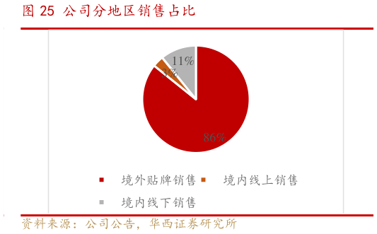 如何解释公司分地区销售占比
