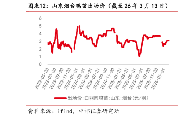 想问下各位网友山东烟台鸡苗出场价(截至 26 年 3 月 13 日) 山东烟台毛鸡收购价(截至 26 年 3 月 13 日)?