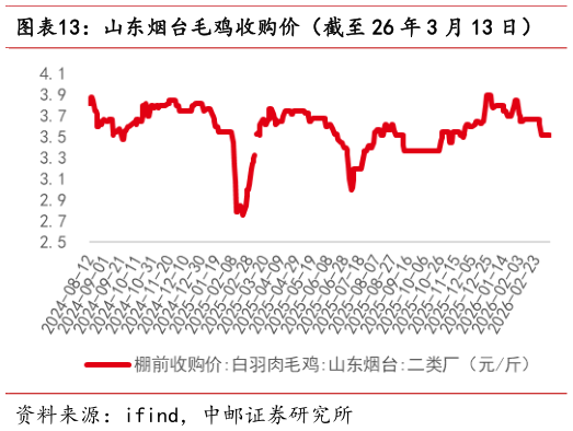 各位网友请教一下山东烟台毛鸡收购价(截至 26 年 3 月 13 日)?
