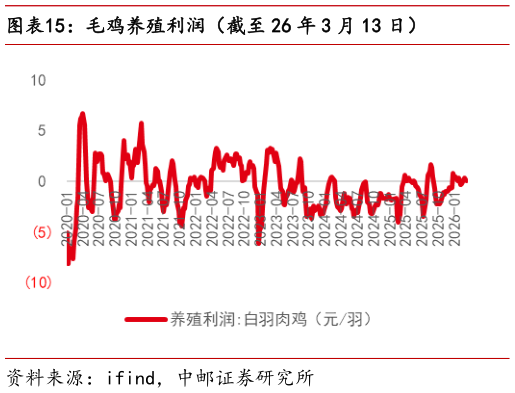 如何了解毛鸡养殖利润(截至 26 年 3 月 13 日)?