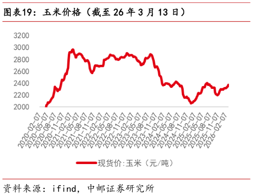 怎样理解玉米价格(截至 26 年 3 月 13 日)?