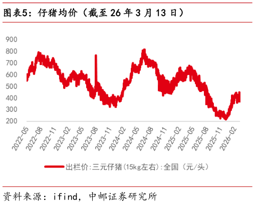 咨询大家仔猪均价(截至 26 年 3 月 13 日)?