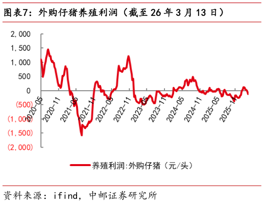 我想了解一下外购仔猪养殖利润(截至 26 年 3 月 13 日)?