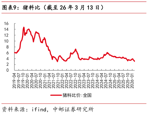 如何了解猪料比(截至 26 年 3 月 13 日)?