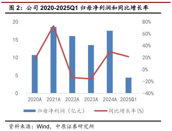 咨询大家公司 2020-2025Q1 归母净利润和同比增长率?