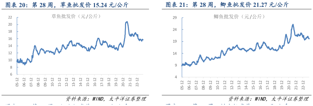 谁知道第 28 周，鲫鱼批发价 21.27 元公斤?
