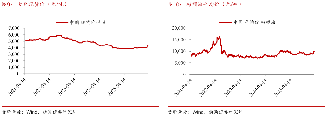 如何看待大豆现货价（元吨）