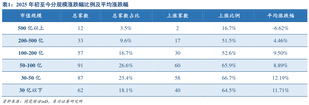 如何了解2025 年初至今分规模涨跌幅比例及平均涨跌幅