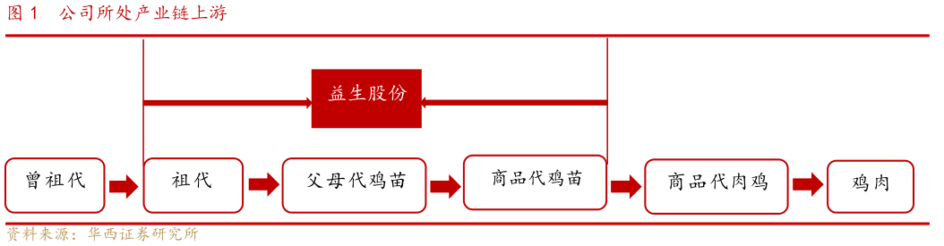 咨询大家公司所处产业链上游