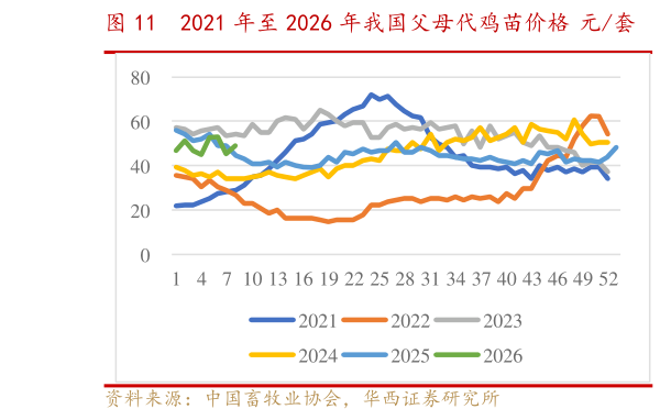 各位网友请教一下2021 年至 2026 年我国父母代鸡苗价格 元套    2021 年至 2026 年我国商品代鸡苗价格 元只