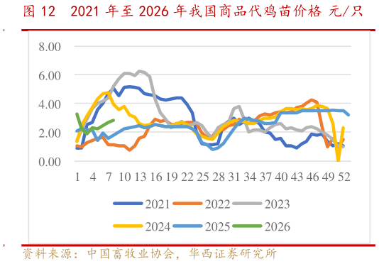 如何了解2021 年至 2026 年我国商品代鸡苗价格 元只
