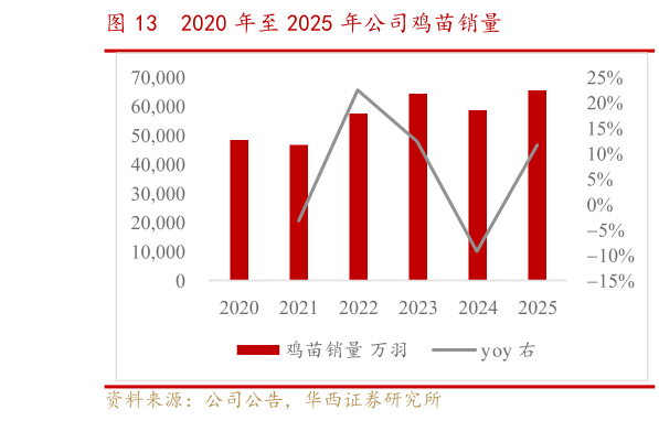 谁能回答2020 年至 2025 年公司鸡苗销量