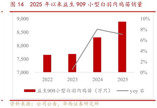 咨询大家2025 年以来益生 909 小型白羽肉鸡苗销量