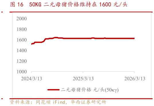 咨询大家50KG 二元母猪价格维持在 1600 元头