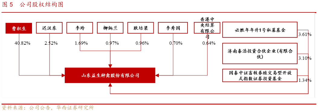 如何解释公司股权结构图