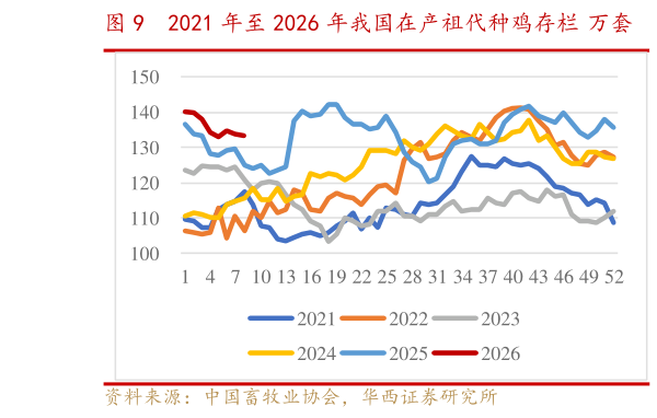 咨询大家2021 年至 2026 年我国在产祖代种鸡存栏 万套    2021-2026 年我国在产父母代种鸡存栏 万套