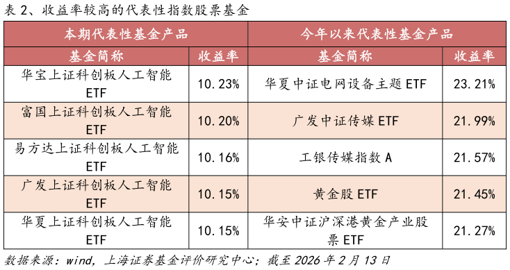 如何看待、收益率较高的代表性指数股票基金?