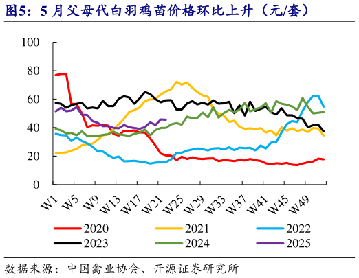 怎样理解5 月父母代白羽鸡苗价格环比上升（元套）