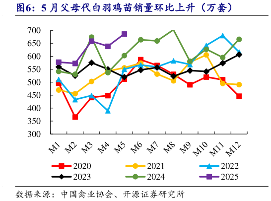 一起讨论下5 月父母代白羽鸡苗销量环比上升（万套）