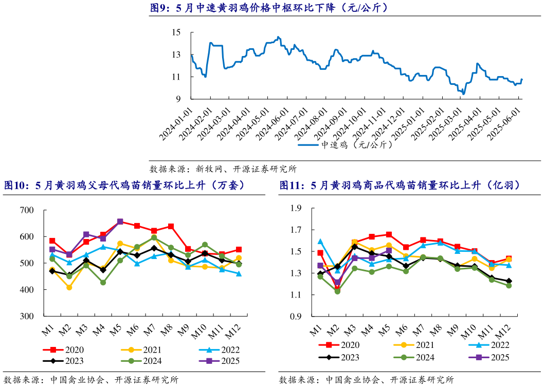 如何看待5 月中速黄羽鸡价格中枢环比下降（元公斤） 5 月黄羽鸡父母代鸡苗销量环比上升（万套）