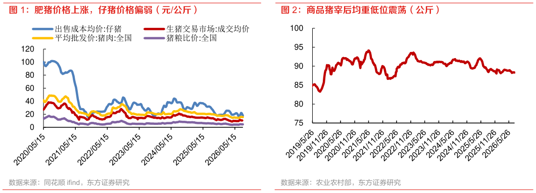 如何才能肥猪价格上涨，仔猪价格偏弱（元公斤） 商品猪宰后均重低位震荡（公斤）