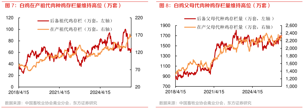 一起讨论下白鸡父母代肉种鸡存栏量维持高位（万套）