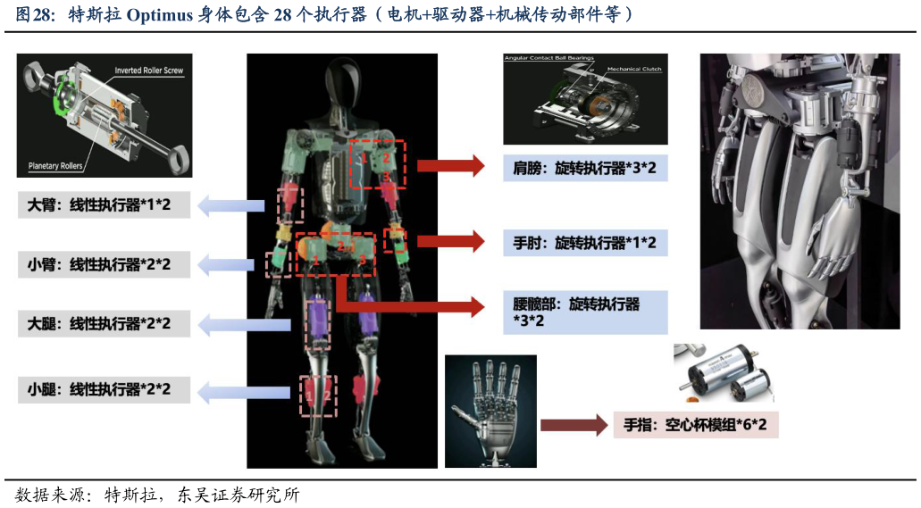 如何了解特斯拉 Optimus 身体包含 28 个执行器（电机驱动器机械传动部件等）