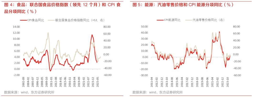 怎样理解能源：汽油零售价格和 CPI 能源分项同比（%）