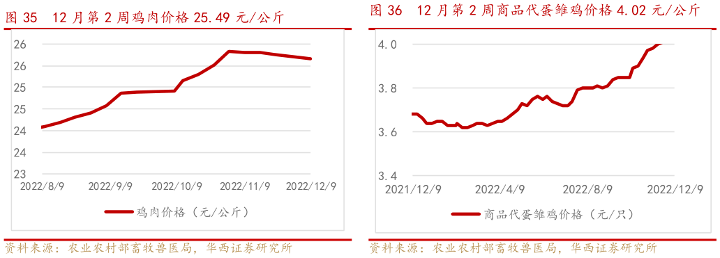 怎样理解12 月第2 周鸡肉价格25.49 元公斤12 月第2 周商品代蛋雏鸡价格