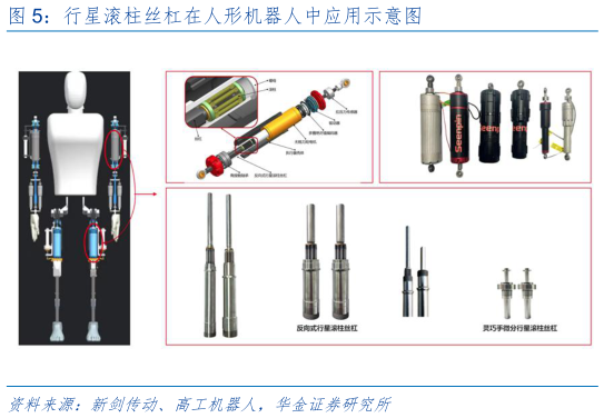 如何了解行星滚柱丝杠在人形机器人中应用示意图