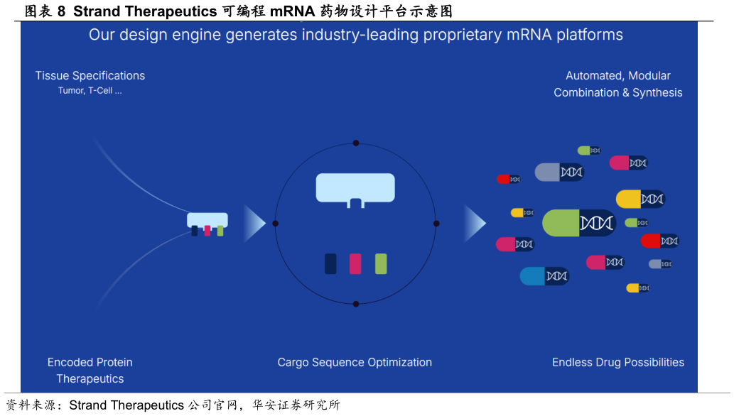 请问一下Strand Therapeutics 可编程 mRNA 药物设计平台示意图