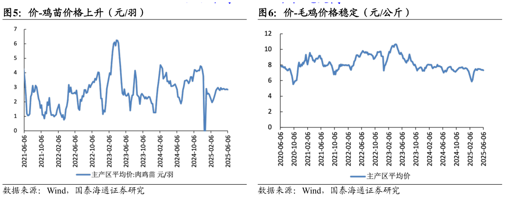 想关注一下价-鸡苗价格上升（元羽）价-毛鸡价格稳定（元公斤）