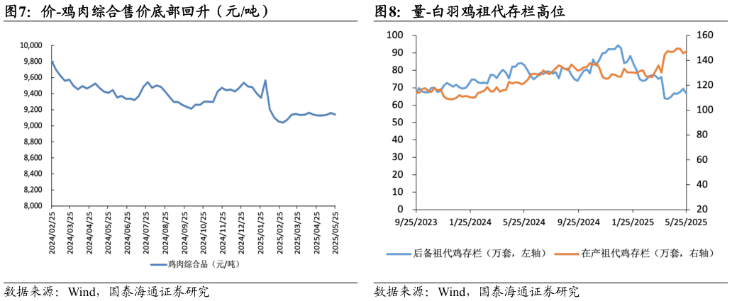 咨询下各位量-白羽鸡祖代存栏高位