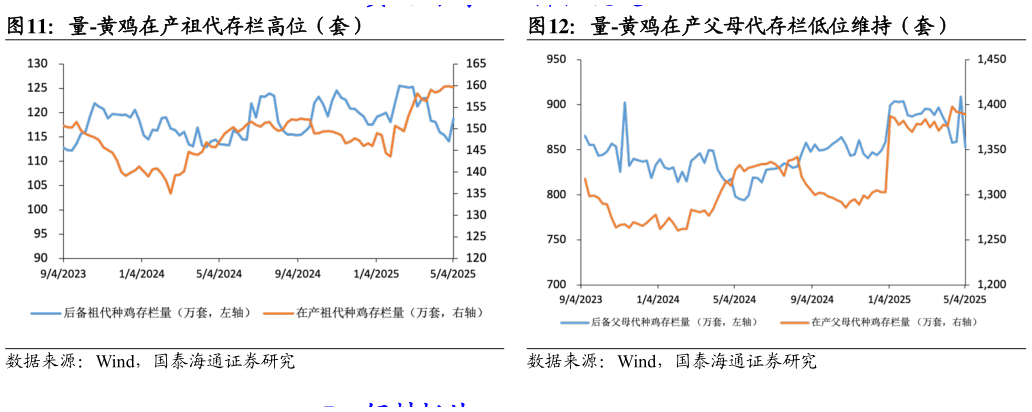 咨询大家量-黄鸡在产祖代存栏高位（套）量-黄鸡在产父母代存栏低位维持（套）?