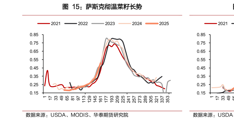 如何才能萨斯克彻温菜籽长势?