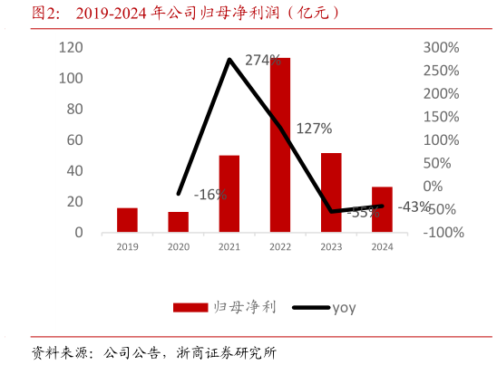 一起讨论下2019-2024 年公司归母净利润（亿元）