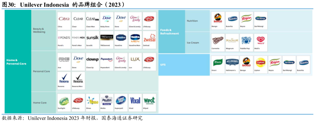 如何解释Unilever Indonesia  的品牌组合（2023）