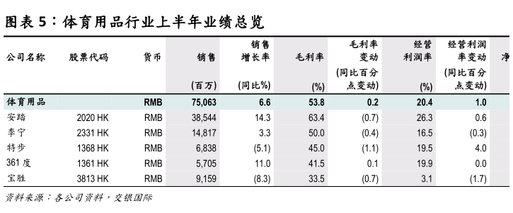 我想了解一下体育用品行业上半年业绩总览