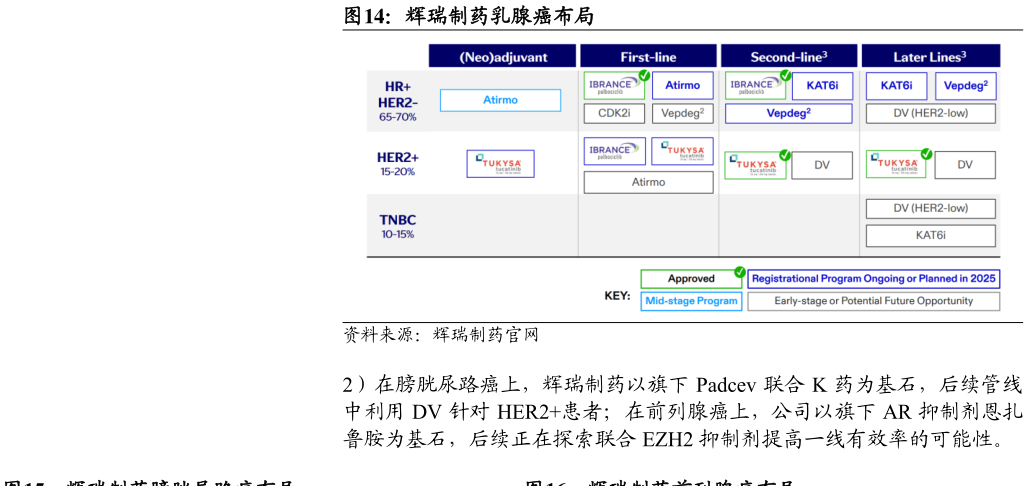 谁知道辉瑞制药乳腺癌布局
