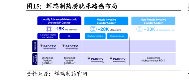 各位网友请教一下辉瑞制药膀胱尿路癌布局