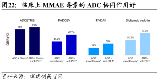 咨询下各位临床上 MMAE 毒素的 ADC 协同作用好