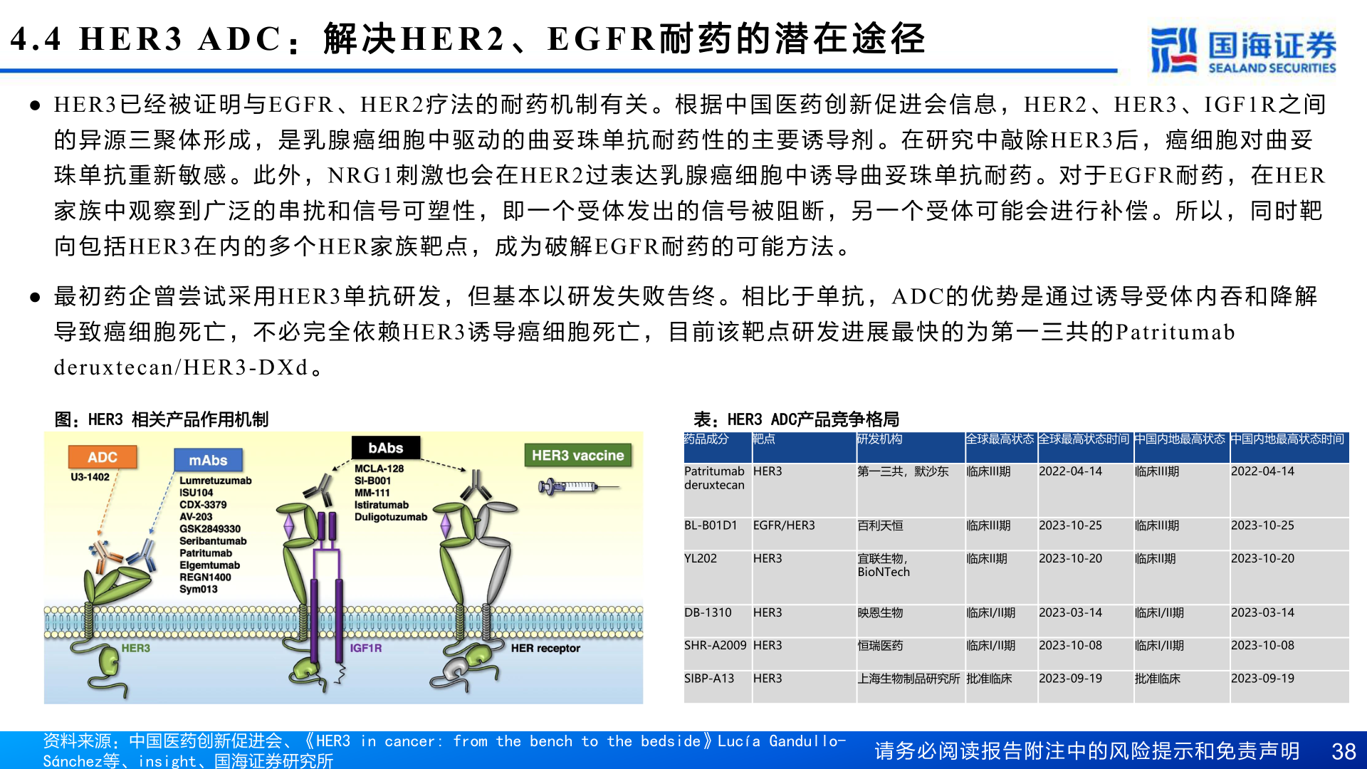 如何了解4.4 HER3 ADC : 解 决HER2 、EGFR 耐 药 的 潜 在 途 径?