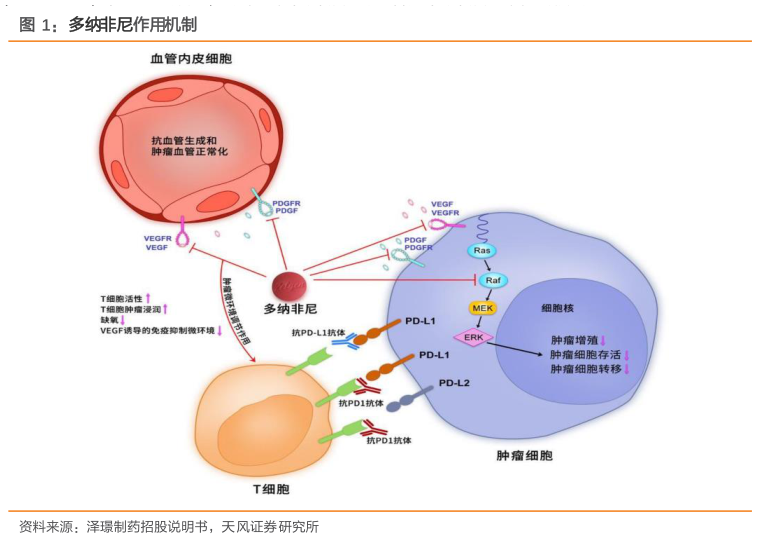 如何了解多纳非尼作用机制?