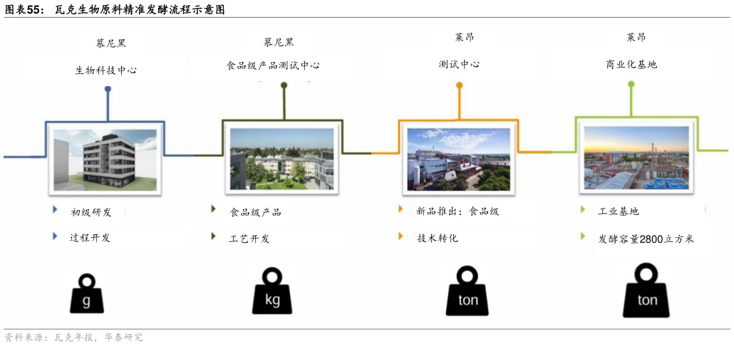 如何了解瓦克生物原料精准发酵流程示意图?