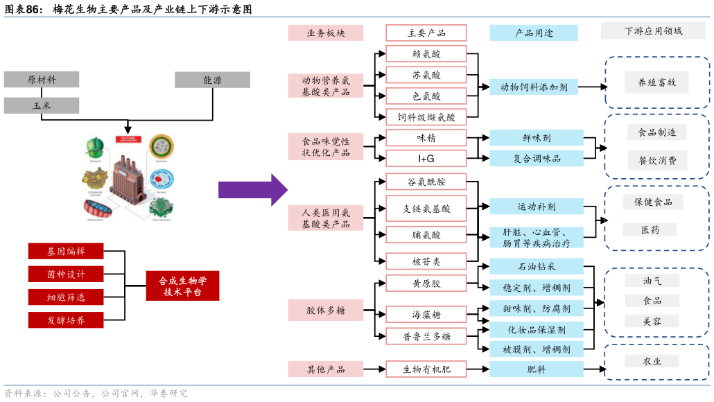 如何解释梅花生物主要产品及产业链上下游示意图?