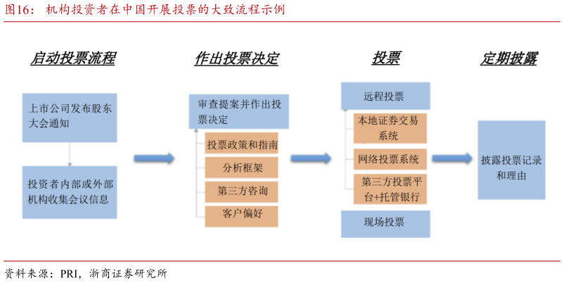 如何了解机构投资者在中国开展投票的大致流程示例