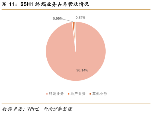 请问一下25H1 终端业务占总营收情况